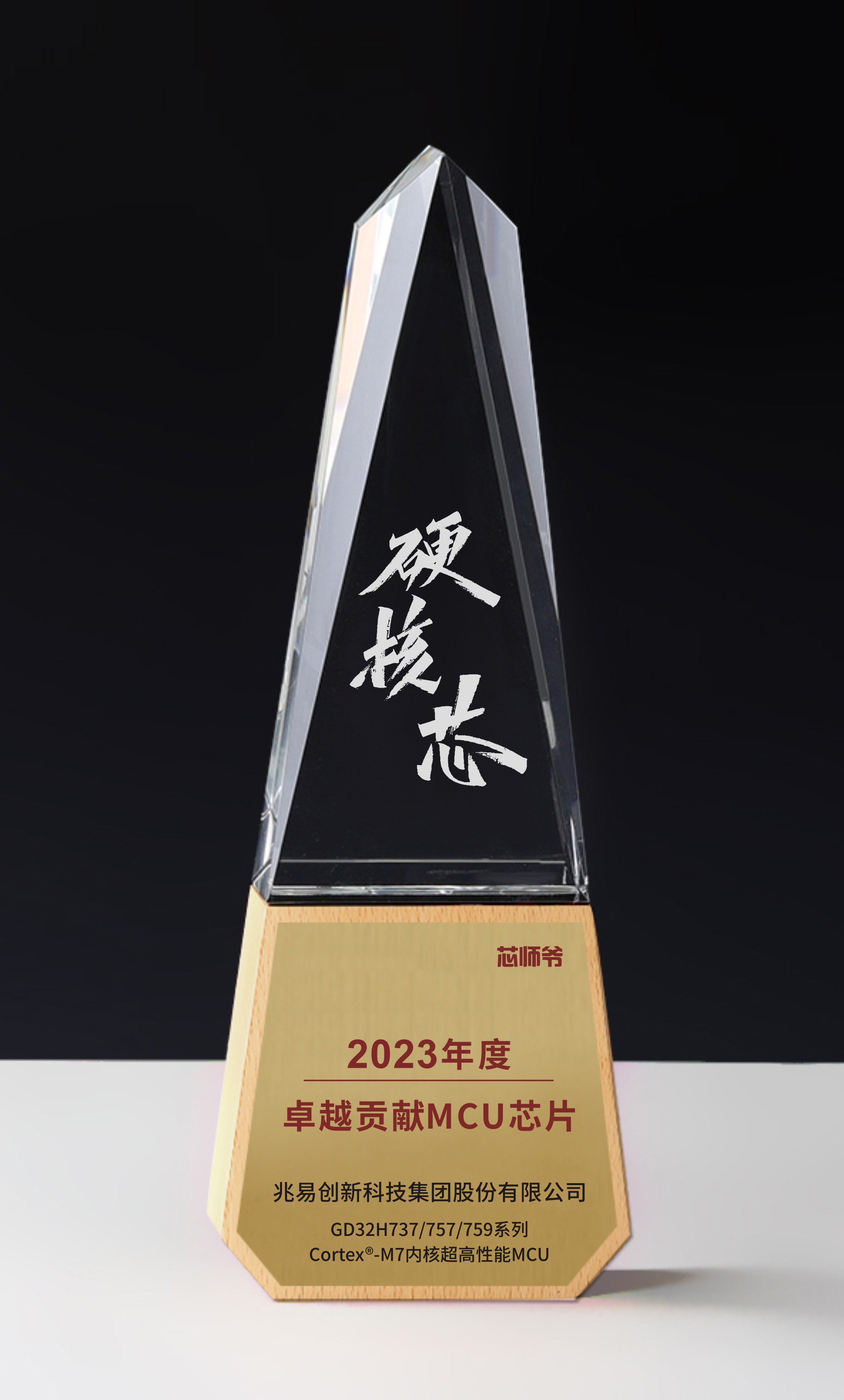 兆易创新科技集团股份有限公司.jpg