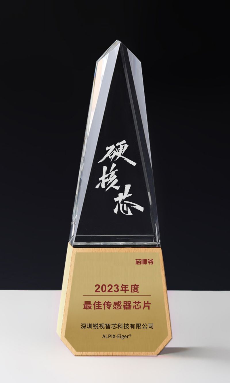 深圳锐视智芯科技有限公司.jpg