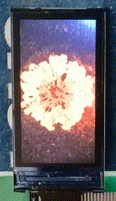 1702522740642552.png wps3.png