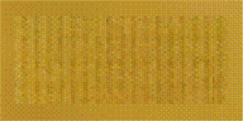 瑞识智能 (2).png